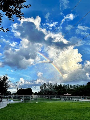 Gary B Jones Park for Pets on Sunny afternoon with Rainbow