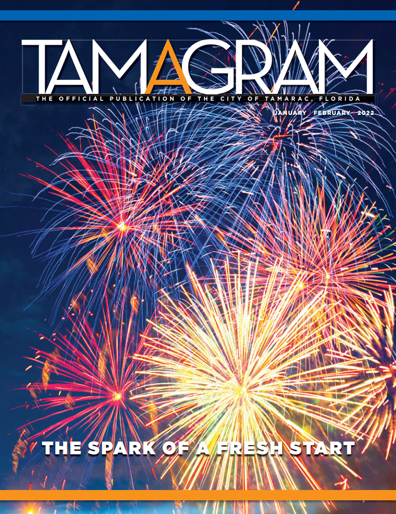 FireWorks in the sky