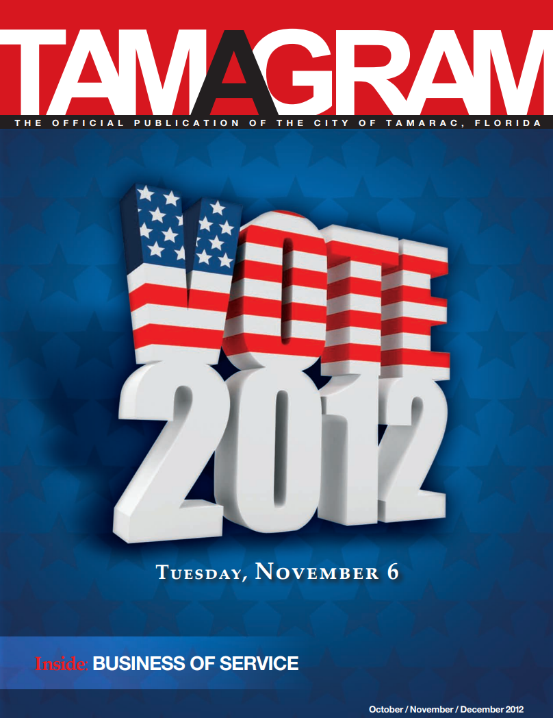 USA flag with 2012 sign