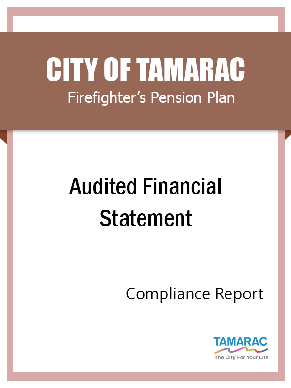 Audited Financial Statement FY 2020