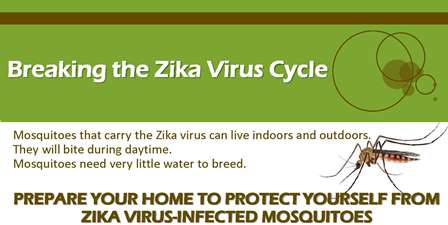 Zika Virus Information