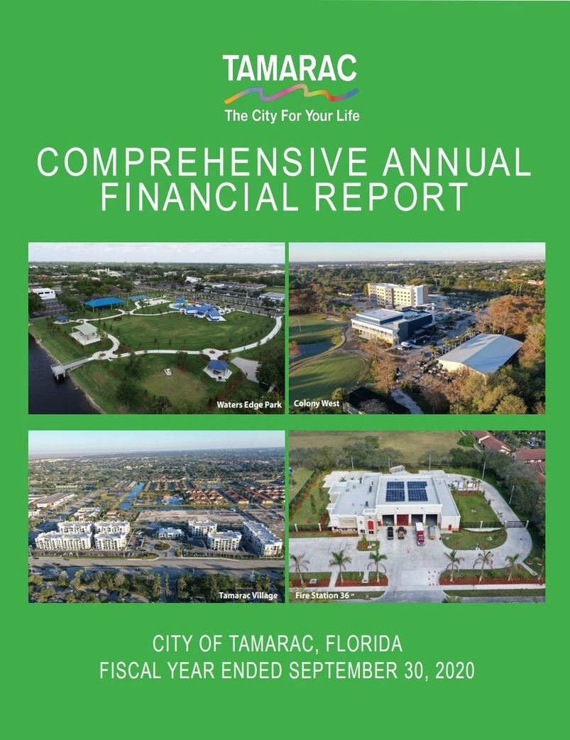 Comprehensive Annual Financial Report 2020