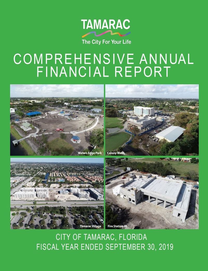 Comprehensive Annual Financial Report 2019