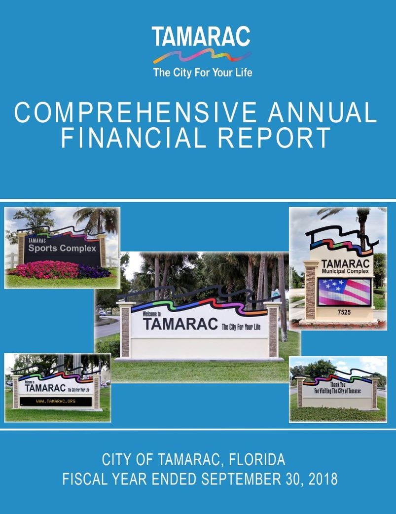 Comprehensive Annual Financial Report 2018
