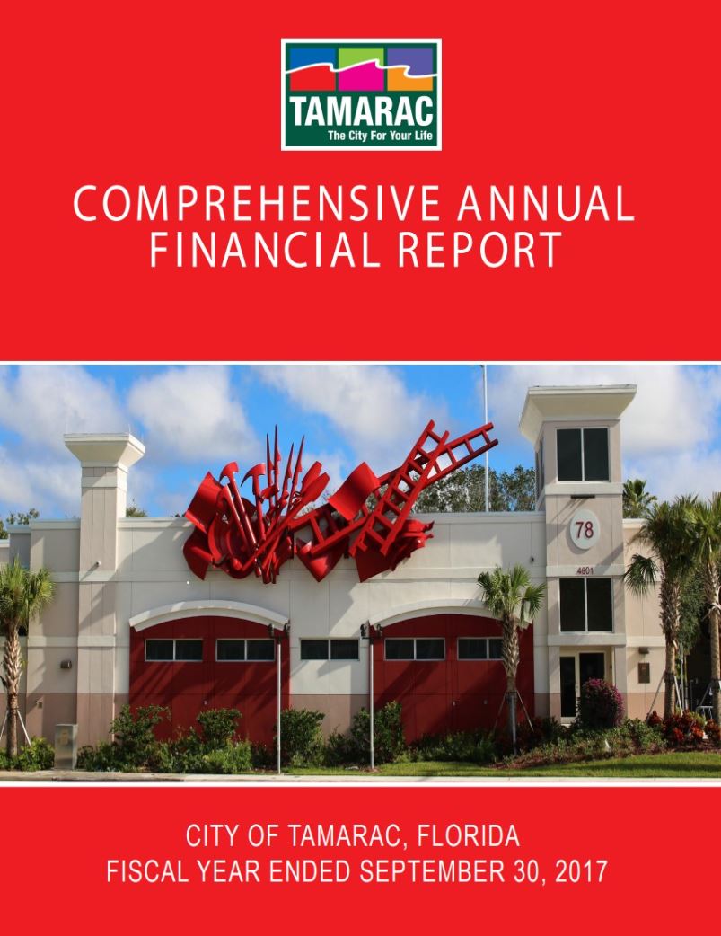 Comprehensive Annual Financial Report 2017