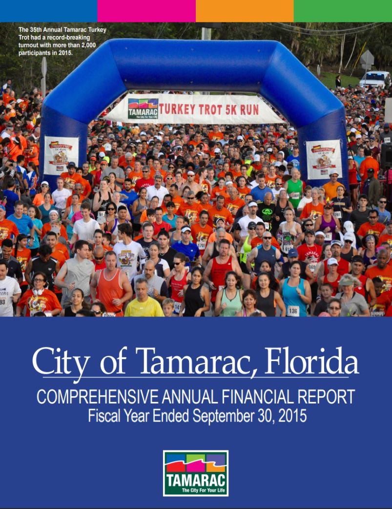 Comprehensive Annual Financial Report 2015