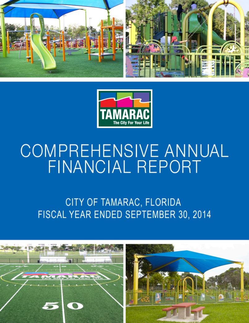 Comprehensive Annual Financial Report