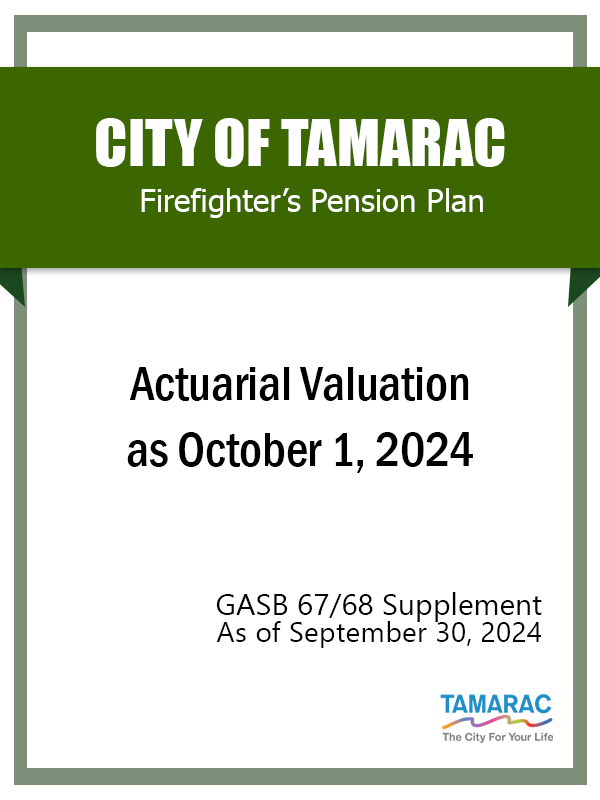 GASB 67/68 Supplement FY 2025