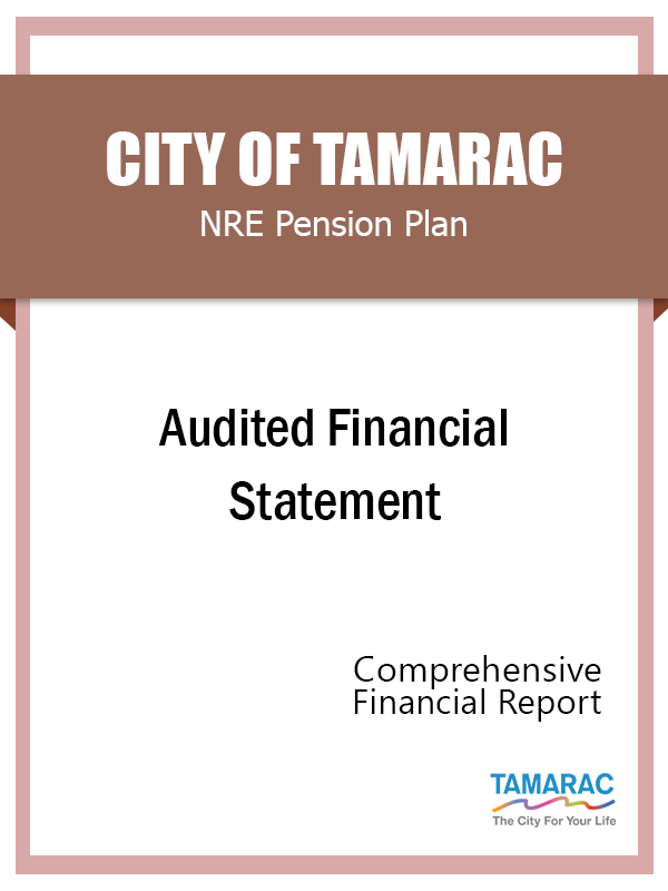 NRE Audited Financial Statement FY 2020