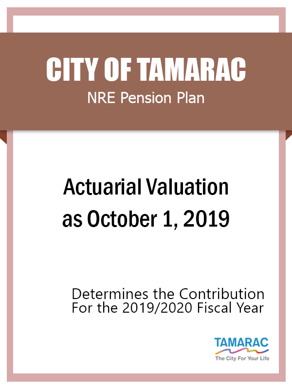NRE Actuarial Valuation FY 2020