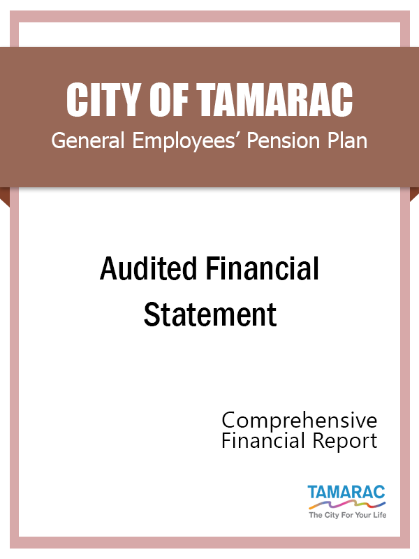 GE Audited Financial Statement FY 2020
