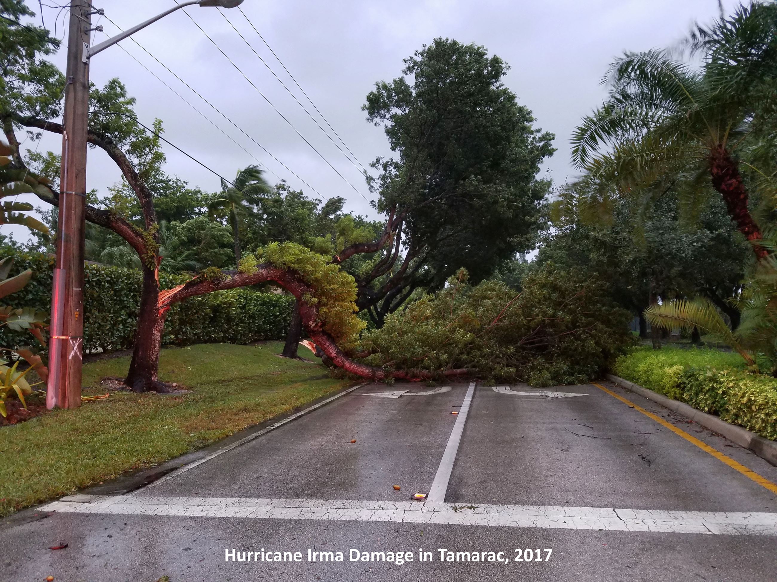 Hurricane Irma Damage